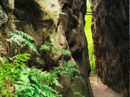 Urlaub Ferien Zittauer Gebirge Oberlausitz 15